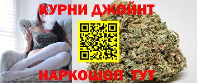 шишки Изобильный