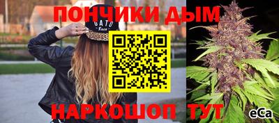 шишки Изобильный