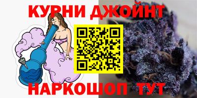 шишки Изобильный