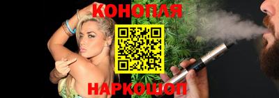 шишки Изобильный