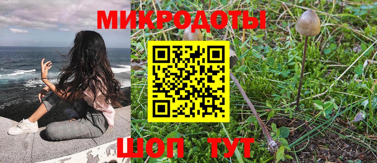 Галлюциногенные грибы MAGIC MUSHROOMS  Вход с VPN  Кувандык 